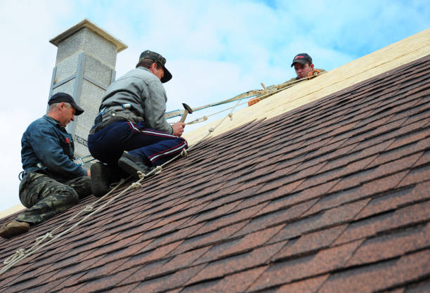 Best Flat Roof Repair Services  in Cedar Glen West, NJ